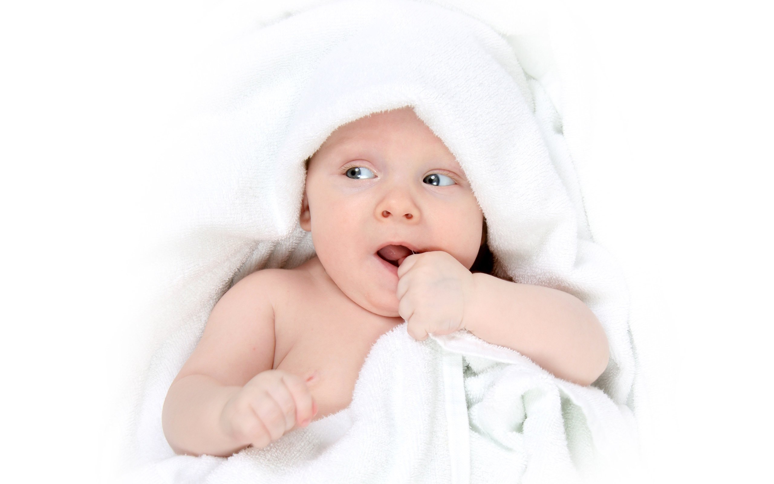 廊坊捐卵医院人工授精和试管婴儿哪个成功率高